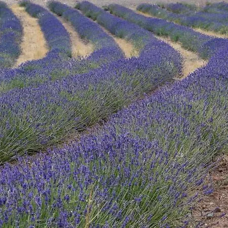 Las Abadias Alojamiento Rural De